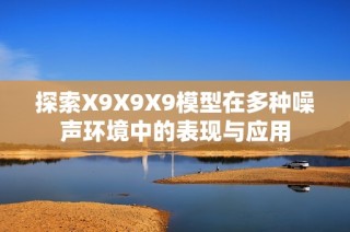 探索X9X9X9模型在多种噪声环境中的表现与应用