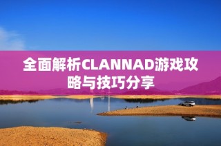 全面解析CLANNAD游戏攻略与技巧分享