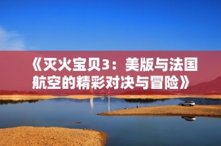《灭火宝贝3：美版与法国航空的精彩对决与冒险》