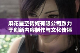麻花星空传媒有限公司致力于创新内容制作与文化传播