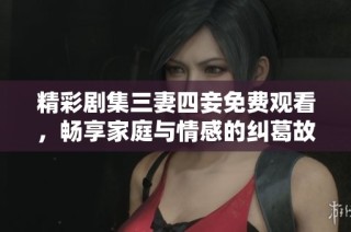 精彩剧集三妻四妾免费观看，畅享家庭与情感的纠葛故事