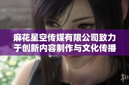 麻花星空传媒有限公司致力于创新内容制作与文化传播