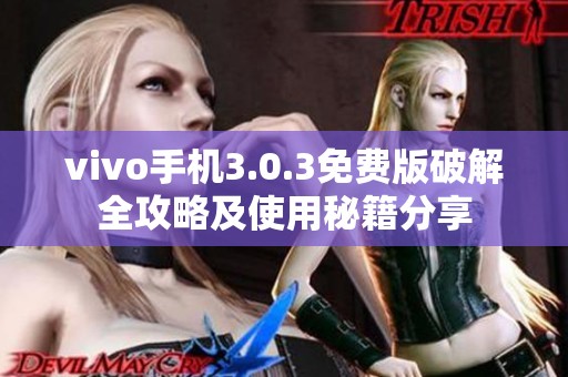 vivo手机3.0.3免费版破解全攻略及使用秘籍分享