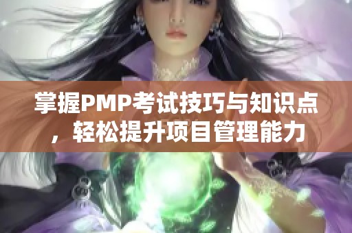 掌握PMP考试技巧与知识点，轻松提升项目管理能力